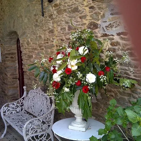 Chateau De La Colaissiere Saint-Sauveur-de-Landemont