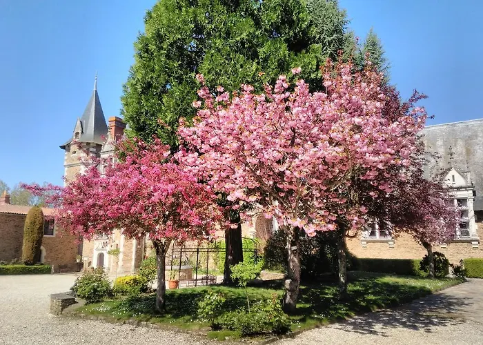 Otel Chateau De La Colaissiere Saint-Sauveur-de-Landemont